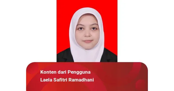 Standar di Media Sosial dan Cara Internet Membentuk Cara Pandang
