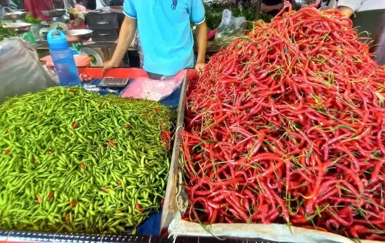 Inflasi Februari 2026 Diperkirakan Menguat Jelang Ramadan, Harga Pangan Jadi Pendorong