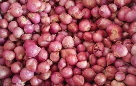 Harga Bawang Merah di Pasar Lirung Naik Menjadi Rp60 Ribu per Kilogram
