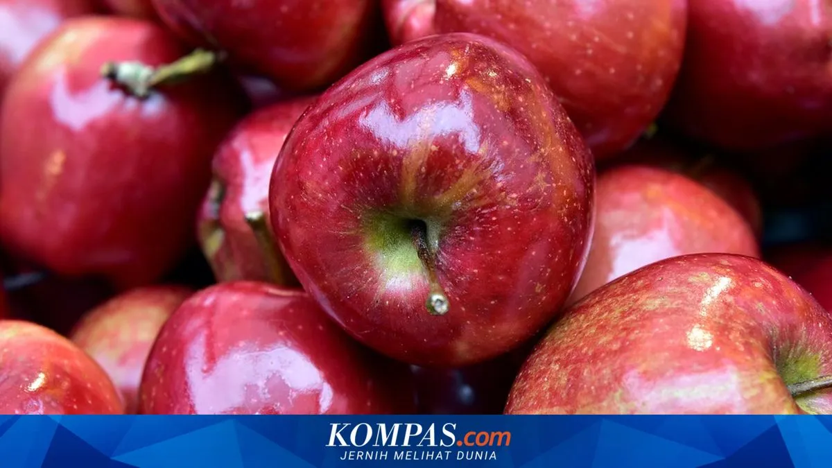 10 Makanan yang Membantu Menurunkan Kolesterol Darah untuk Menu Harian