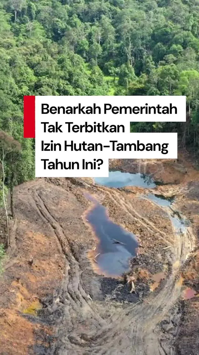 Pemerintah Klaim Tak Terbitkan Izin Hutan dan Tambang pada 2025, Penelusuran DW Temukan Alih Fungsi Masih Berjalan