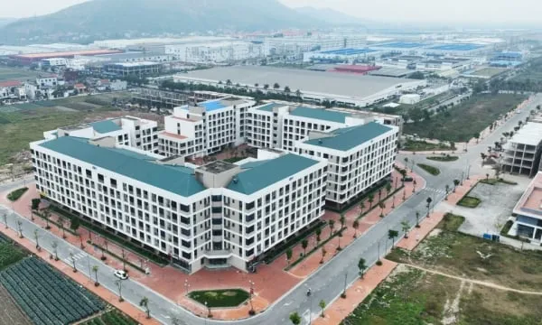 Quang Ninh Dorong Transparansi Data dan Pembayaran Pajak untuk Perkuat Iklim Usaha