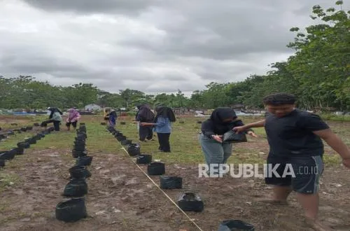 Petani Punk Gunungkidul Siap Pasok Dapur MBG, Pantau Rantai Pasok dengan Sistem Berbasis AI