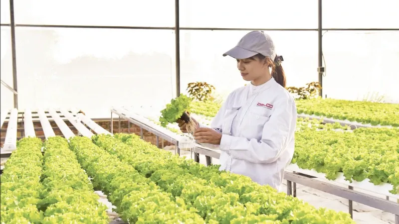 Transparansi Data Jadi Kunci Startup Hijau Vietnam Menembus Pasar Global