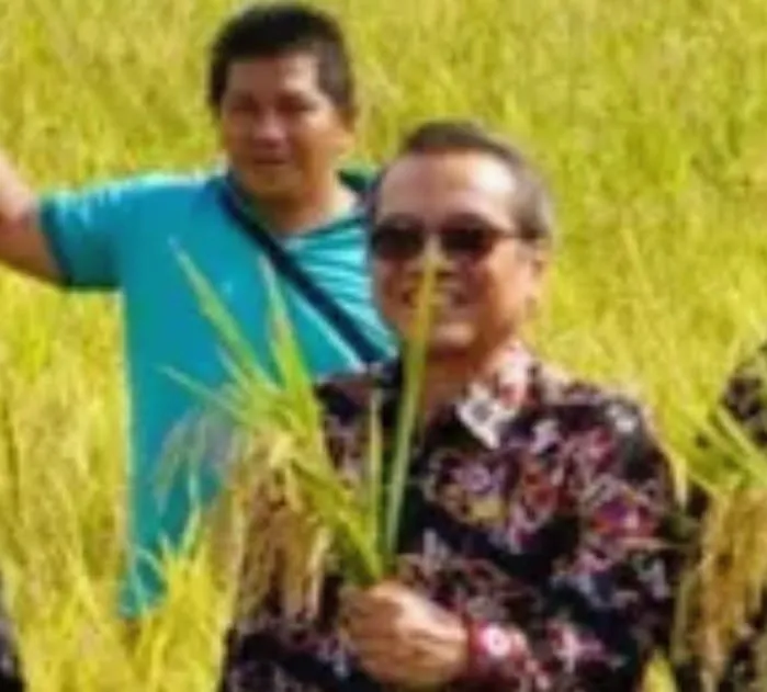 Panen Padi di Rapak Oros Kutai Barat Tunjukkan Hasil Pengembangan Berbasis Riset