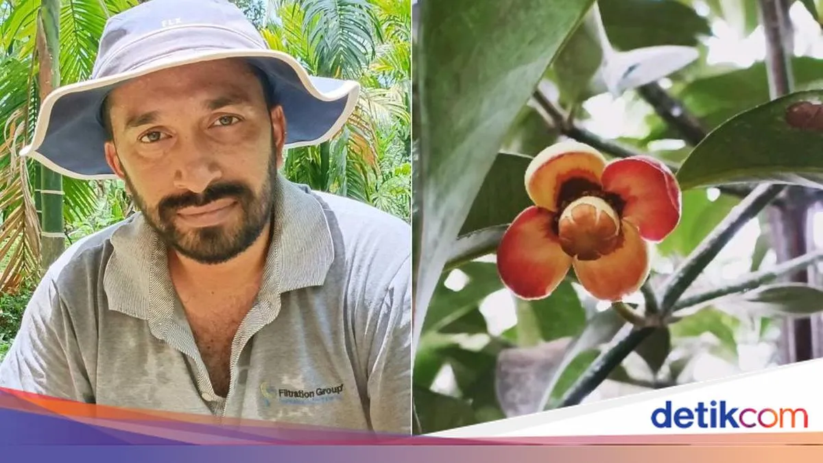 Dari Ruang Server ke Lahan dan Asap: Mengapa Mantan Pegawai IT yang Jadi Petani serta Kuliner Daging Asap di Jaktim Mendadak Viral