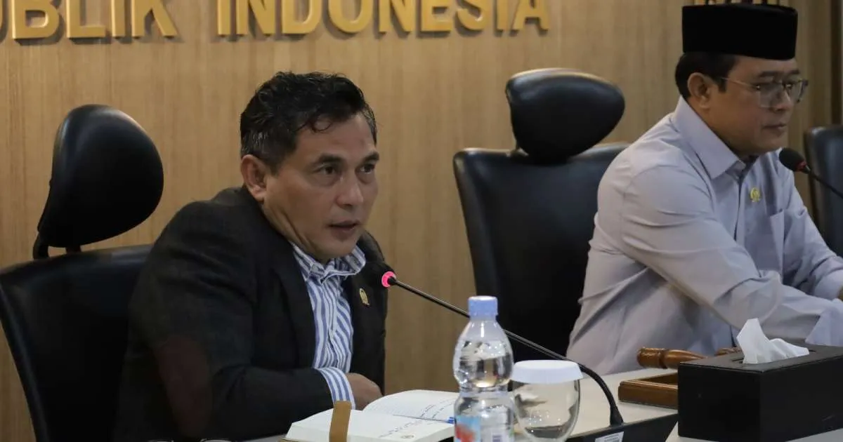 DPD Soroti Banjir Berulang di Jakarta Timur, Tekankan Perbaikan Drainase dan Tata Ruang