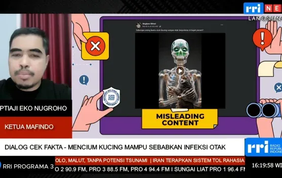 Mafindo Tegaskan Klaim Mencium Kucing Menyebabkan Infeksi Otak Tidak Benar