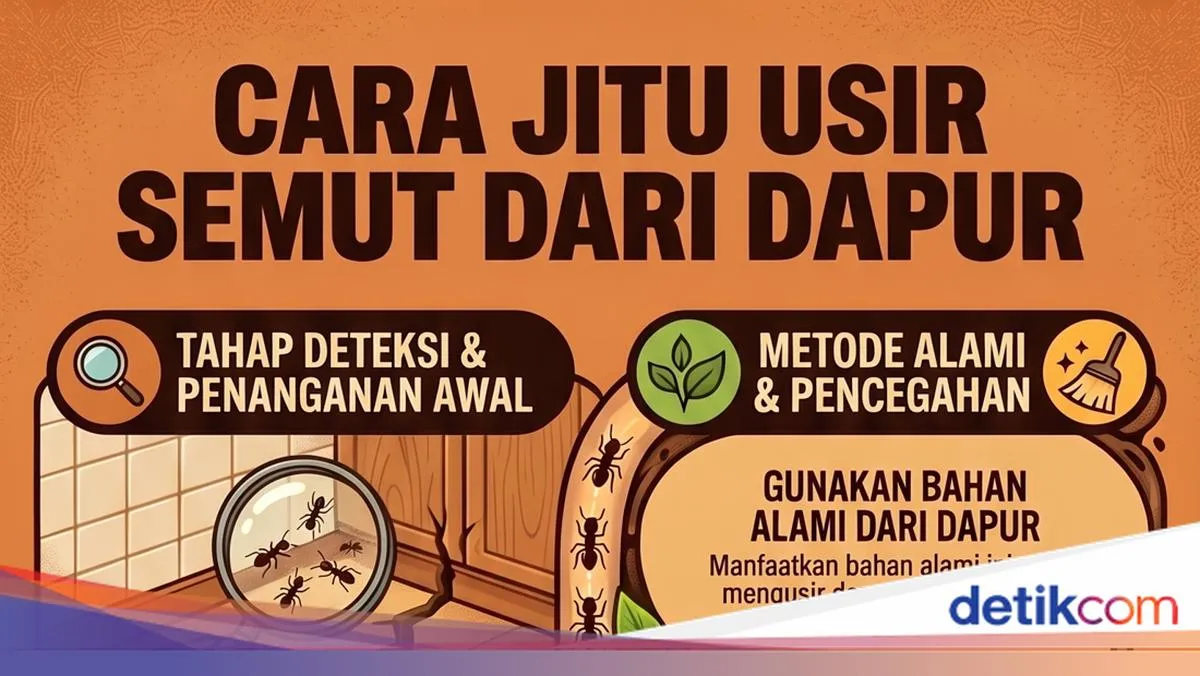 Dapur Diserang Semut? Ini Cara Membasmi agar Tidak Kembali Lagi