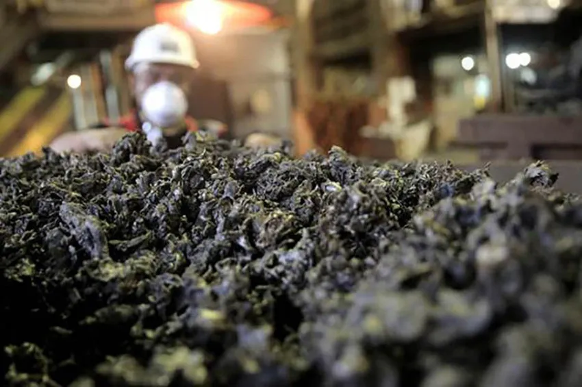 Dragonmine Mining Teken CSPA untuk Ambil Alih 80% Saham BLUE