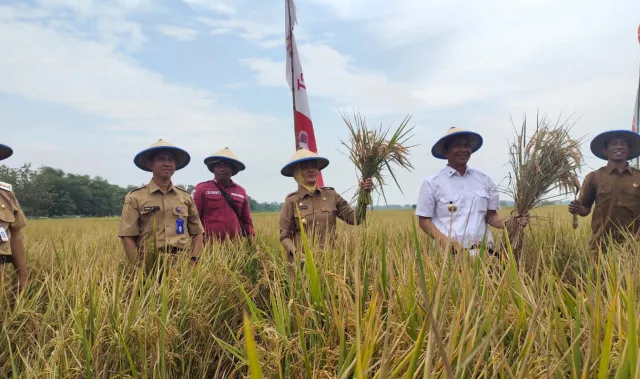 Pemkab Bojonegoro Siapkan Strategi Ketahanan Pangan di Tengah Ancaman Krisis Global dan Iklim