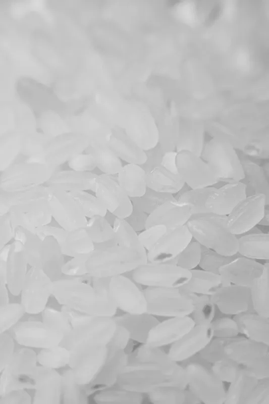 10 Bahan Alami untuk Mengusir Kutu Beras dan Tips Menyimpan Beras agar Tetap Bersih