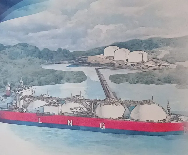Menteri Keuangan Purbaya Sadewa Bertemu INPEX, Bahas Perkembangan Proyek LNG Abadi Masela