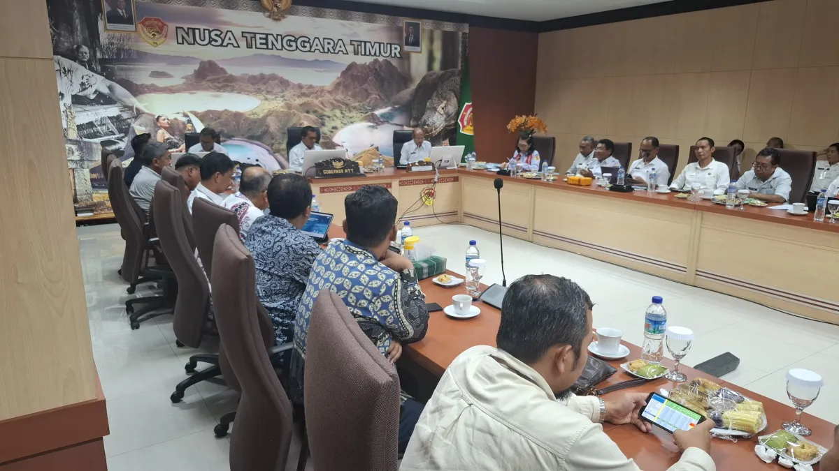 PLN dan Pemprov NTT Bahas Isu Sosial Pengembangan Panas Bumi di Flores dan Lembata