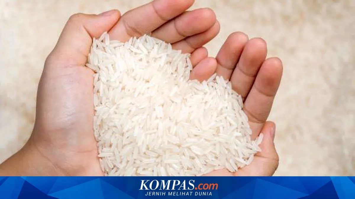 Enam Cara Menyimpan Beras agar Awet Berbulan-bulan dan Bebas Kutu dengan Bumbu Dapur