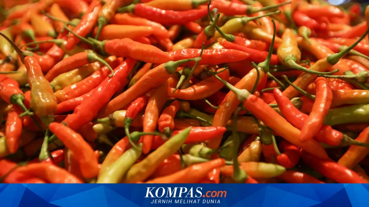 Viral Tips Atasi Tangan Terasa Panas Usai Mengiris Cabai, Chef Jelaskan Cara yang Bisa Dicoba