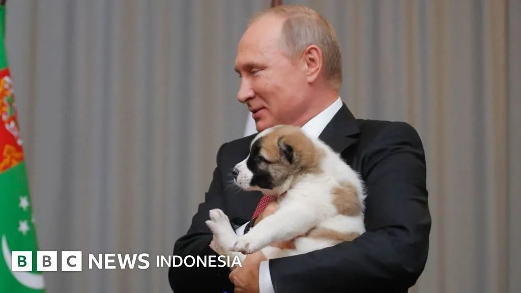 Sanksi Baru Barat terhadap Rusia: Bentuk, Cara Rusia Menghindar, dan Dampaknya bagi Ekonomi