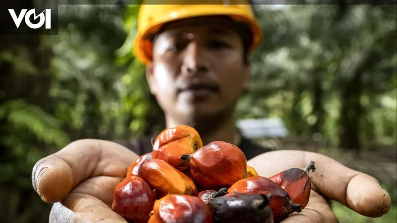 BPDP Biayai Sekitar 400 Riset Sawit hingga 2025, PASPI Soroti Implementasi dan Produktivitas yang Stagnan