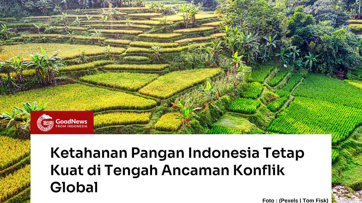 Kementerian Pertanian: Stok Beras Nasional Cukup untuk 324 Hari di Tengah Ketidakpastian Global
