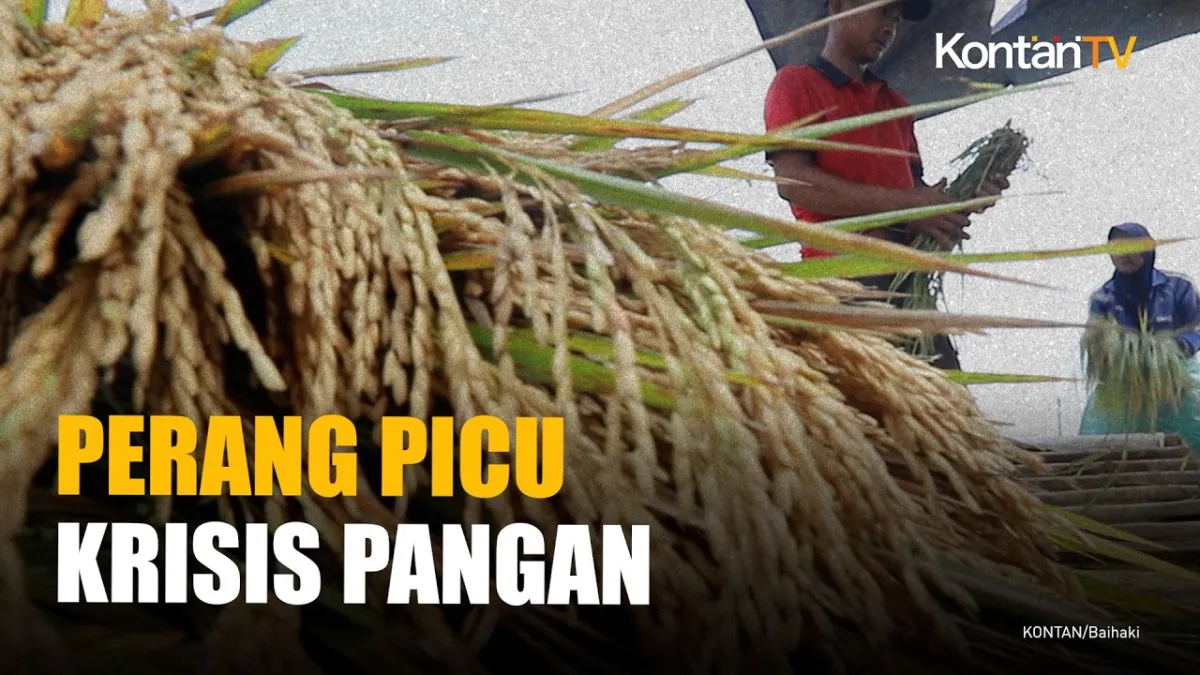 WFP Peringatkan Konflik Timur Tengah Berisiko Picu Krisis Pangan Global, Indonesia Diminta Perkuat Ketahanan
