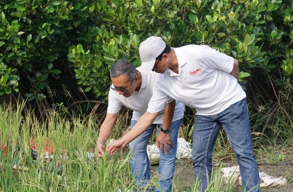 ITS dan BRIDA Surabaya Kembangkan Living Laboratory di Kebun Raya Mangrove untuk Riset dan Inovasi Pesisir
