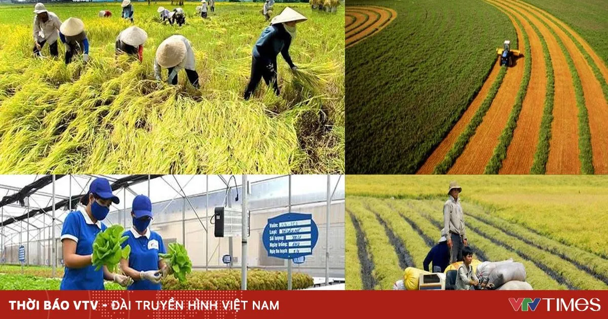 Kementerian Keuangan Usulkan Subsidi Premi Asuransi Pertanian hingga 95% bagi Rumah Tangga Miskin