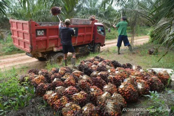 CSRA Menyusun Ekspansi 2026, Andalkan Permintaan B40 dan Harga CPO yang Diproyeksikan Stabil