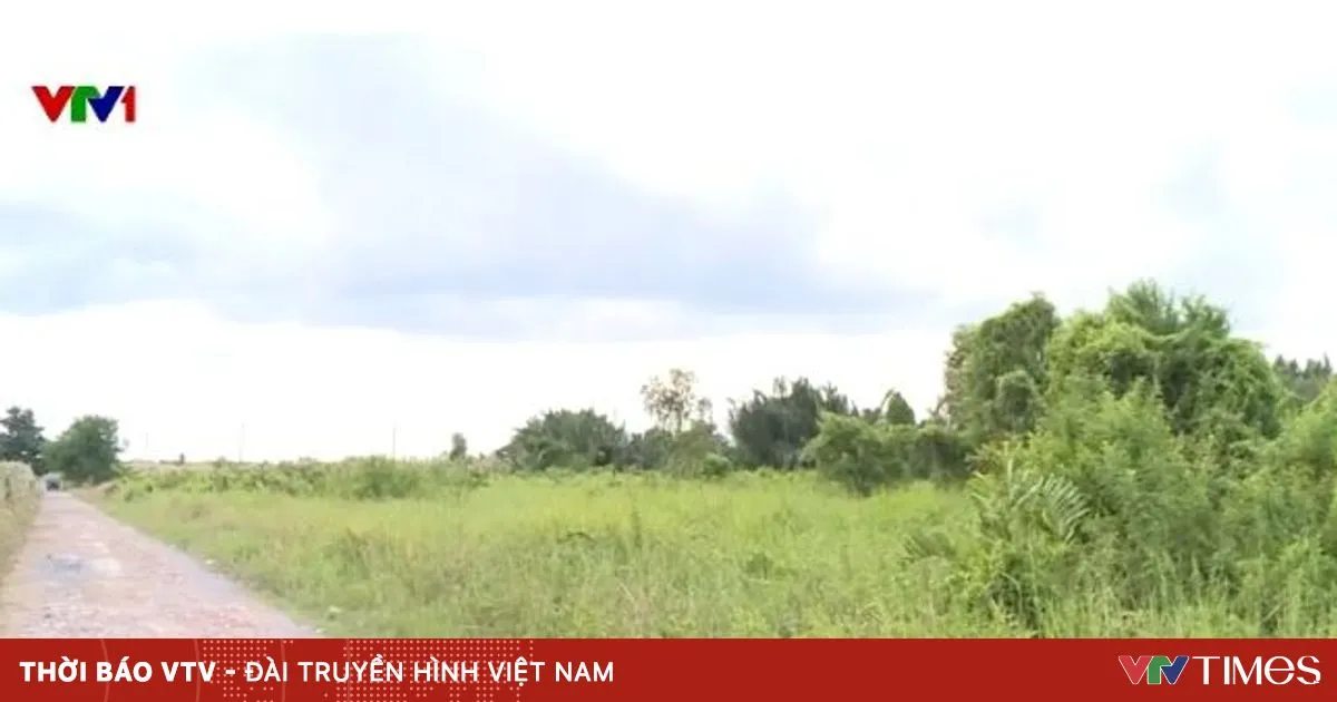 Kebijakan Baru Pangkas Biaya Alih Fungsi Lahan Pertanian ke Perumahan hingga 70%