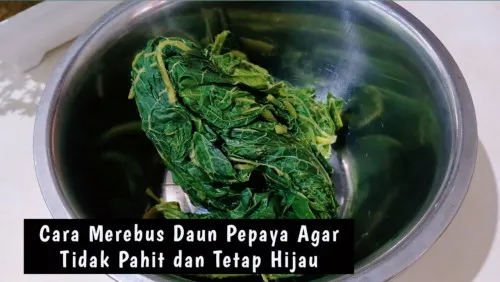 Trik Merebus Daun Pepaya Agar Tidak Pahit dan Tetap Hijau Segar