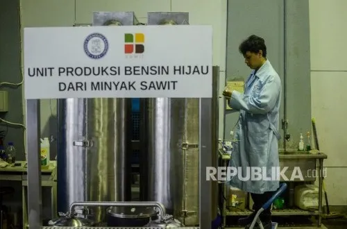 Pemerintah Diminta Perkuat Diplomasi untuk Minimalkan Dampak Kebijakan EUDR Uni Eropa