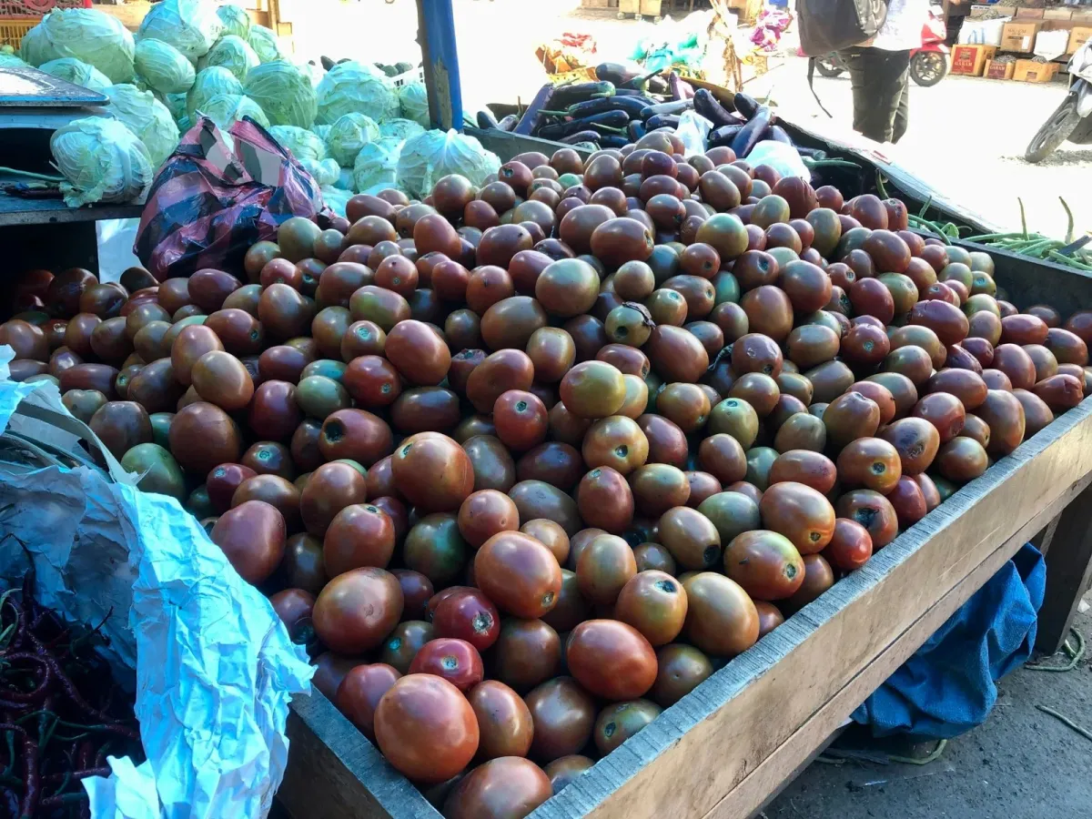 Pasokan Menipis, Harga Tomat di Pasar Induk Aceh Besar Naik hingga Rp25 Ribu per Kilogram