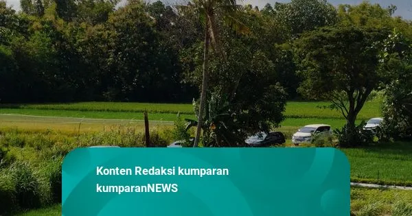 Pemudik Tersasar ke Jalan Sawah Saat Menuju GT Purwomartani, Rute di Aplikasi Peta Dihapus