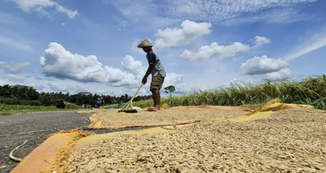 Mentan Dorong Kemandirian Pangan di Tengah Ancaman Krisis Pangan Global