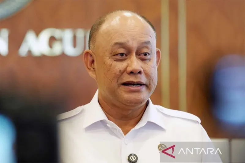 BGN: Anggaran Program Makan Bergizi Gratis Diawasi Berlapis untuk Jaga Transparansi
