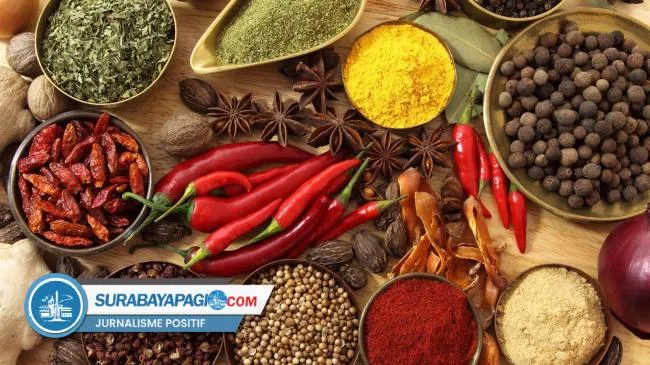 Ahli Menilai Sejumlah Bumbu Dapur Berpotensi Mendukung Daya Ingat