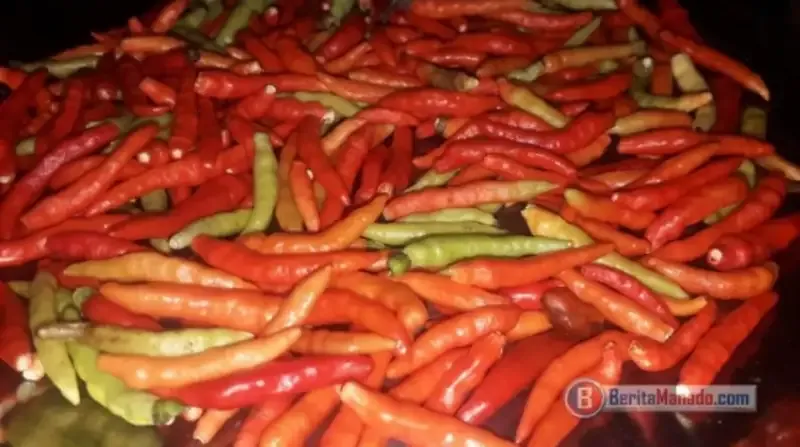 Harga Cabai di Pasar Langowan Tembus Rp140 Ribu per Kilogram