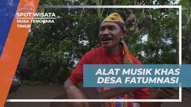 Mengenal Biola, Alat Musik Khas Desa Fatumnasi di Nusa Tenggara Timur