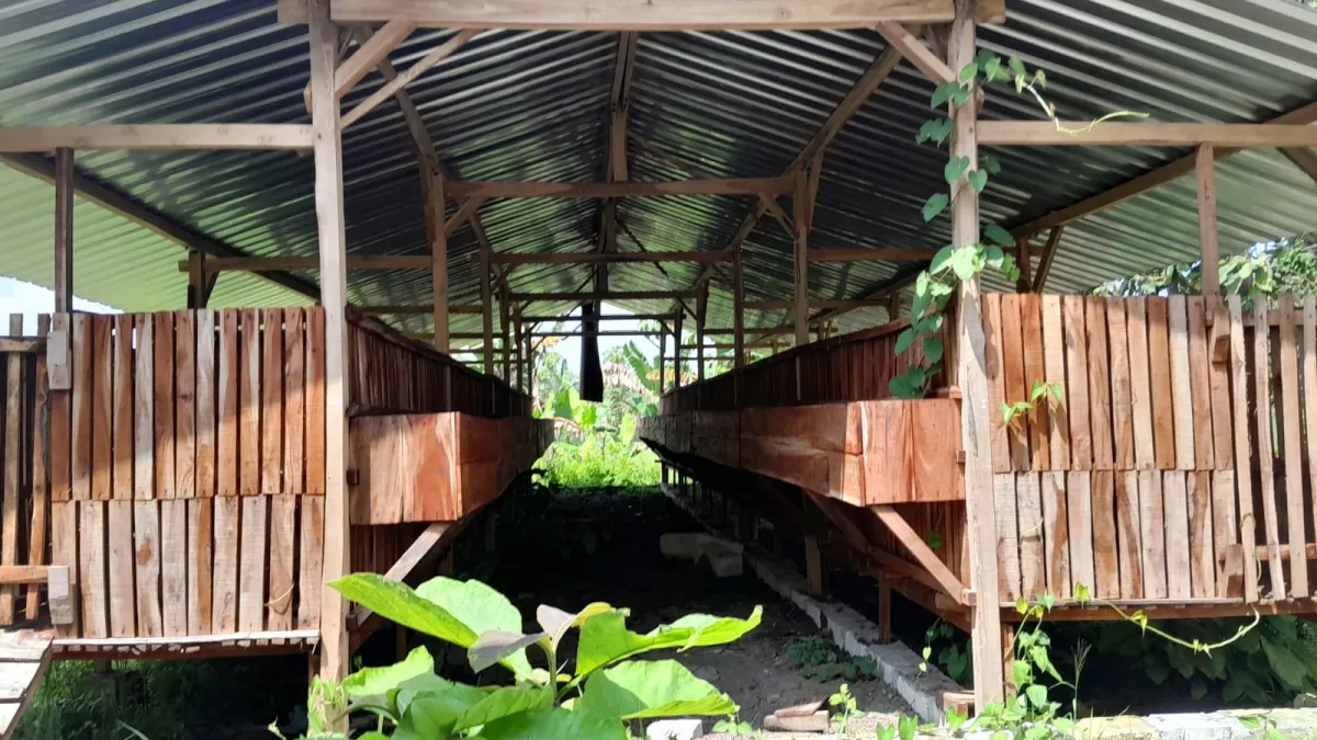 Proyek BUMDes Desa Kandangan Rp200 Juta Disorot, Kandang Kambing dan Kolam Lele Dilaporkan Mangkrak