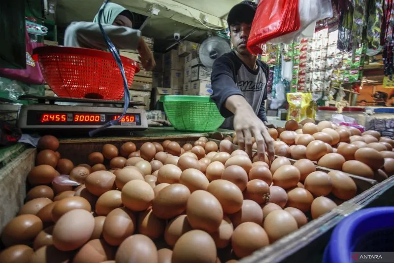 DPR Ingatkan Panic Buying di Tengah Ketidakpastian Global karena Picu Kenaikan Harga Pangan