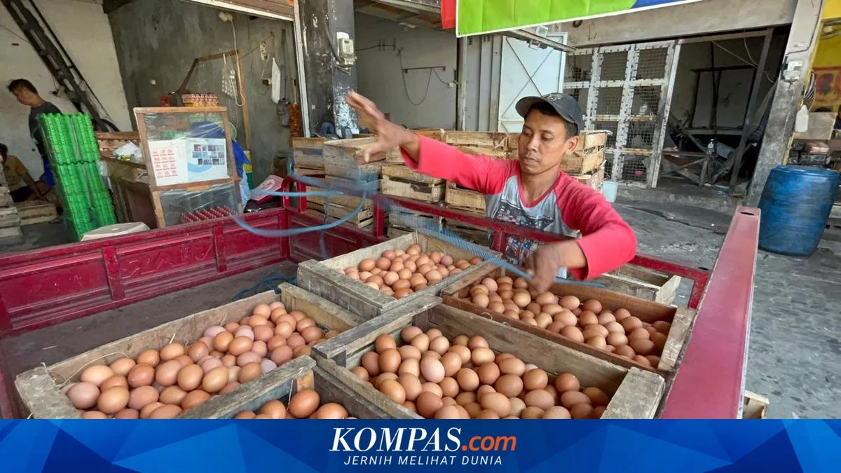 BGN: Dapur MBG Wajib Beli Pangan Sesuai Harga Acuan dan Dilarang Pakai Barang Subsidi