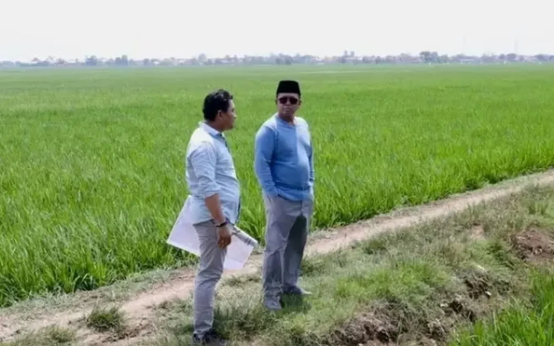 Menteri ATR/BPN Tinjau Lahan Rencana Kawasan Industri di Indramayu, Pastikan Tidak Masuk KP2B