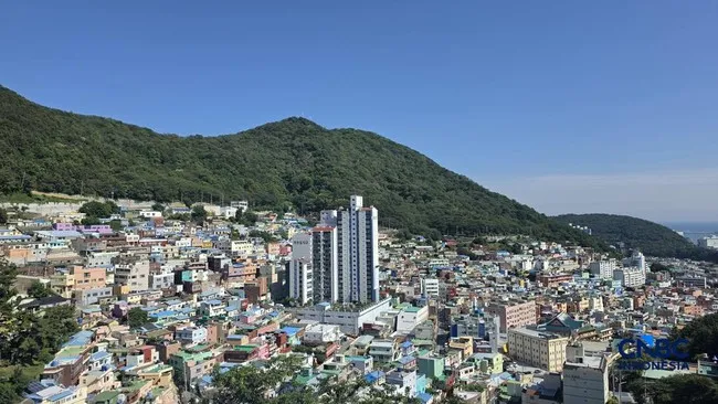Gamcheon Village, Kamera Ponsel, dan Hasrat Kita Membekukan Keindahan