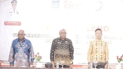 Pemprov Papua Selatan Bentuk TPAKD untuk Perluas Akses dan Inklusi Keuangan