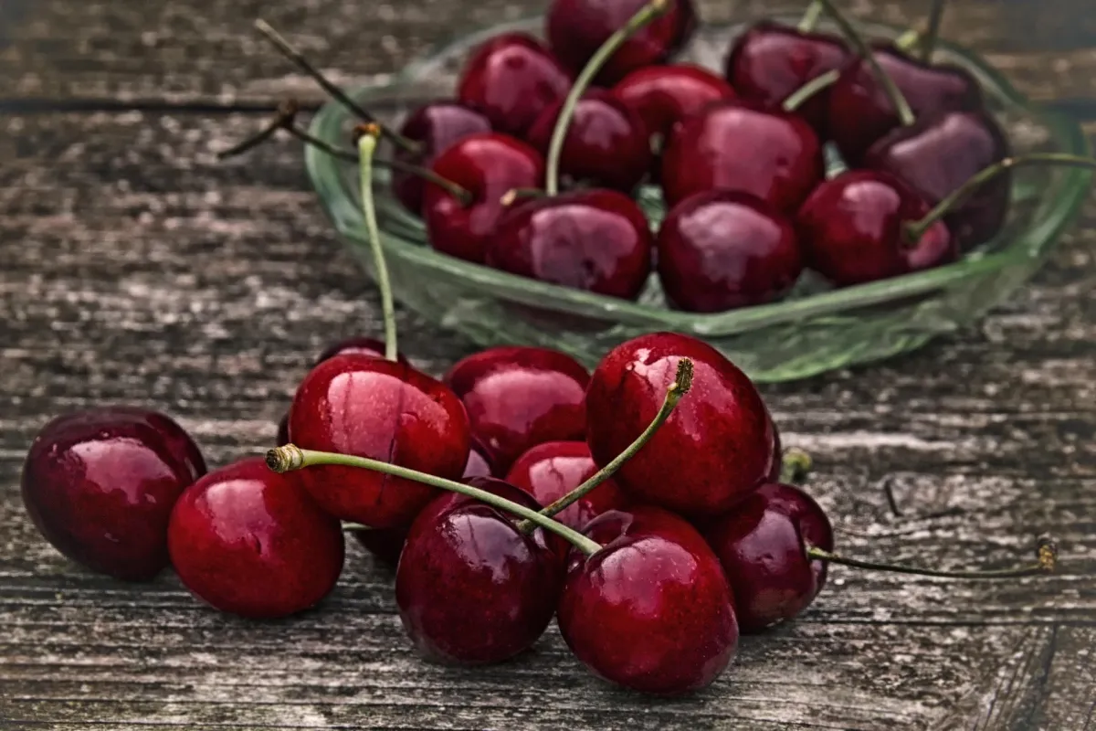 Mengapa Buah Ceri Layak Masuk Menu Harian? Ini Sejumlah Manfaatnya bagi Kesehatan