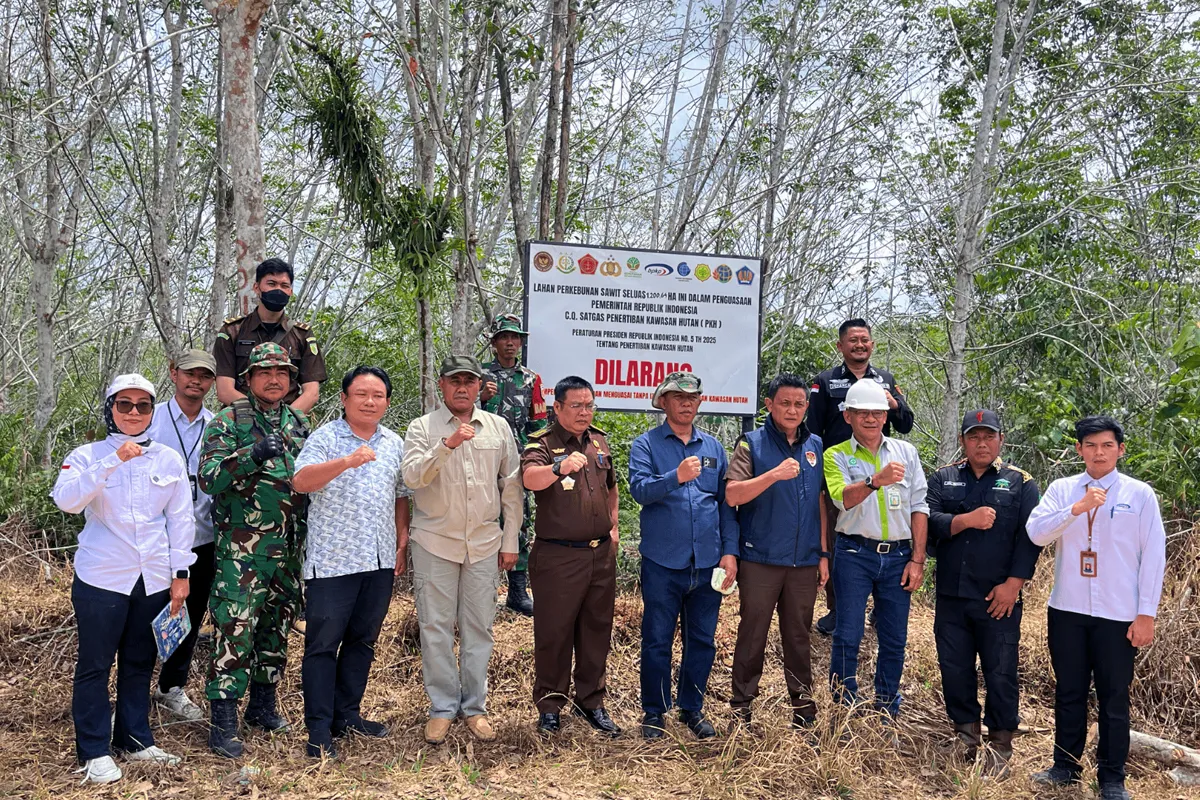 Satgas PKH Lakukan Penertiban Kawasan Hutan di Kalimantan Utara, BPKP Perkuat Pengawasan
