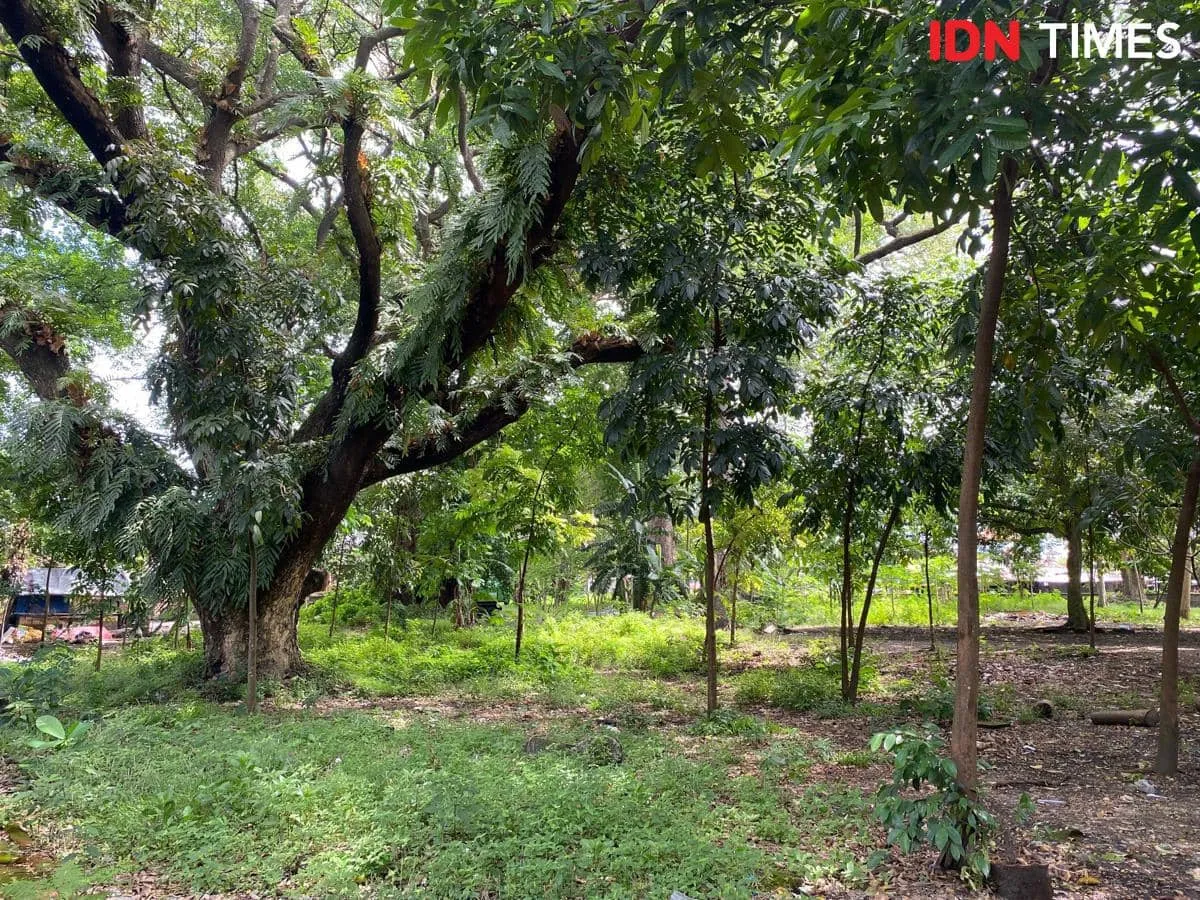 Setra Badung Jadi Tempat Berteduh dan Berjualan, Makam Disebut Benteng Terakhir RTH Denpasar