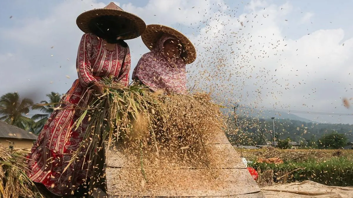 FAO: Harga Pangan Dunia Naik 2,4 Persen pada Maret 2026 Dipicu Biaya Energi dan Konflik Timur Tengah