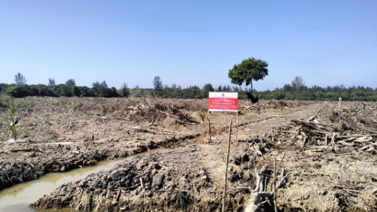 Pertobatan Ekologis di Lumpur Mangrove: Antara Seruan Moral dan Keberanian Politik