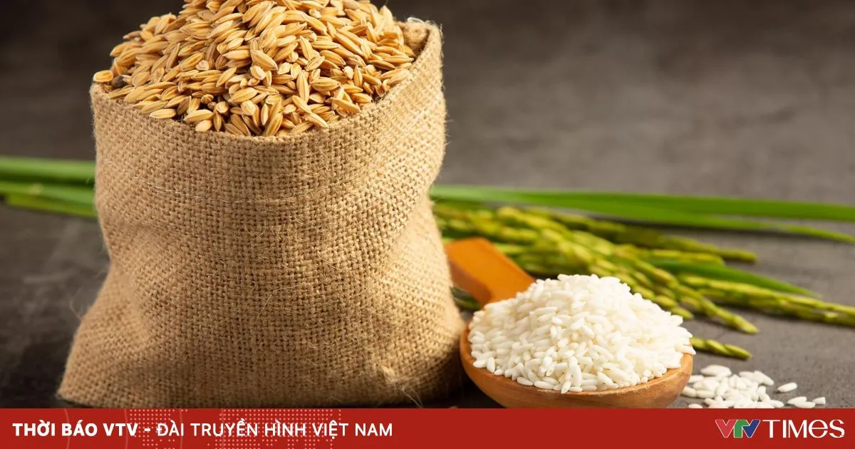 FAO: Konflik Timur Tengah Dorong Kenaikan Indeks Harga Pangan Global pada Maret 2026