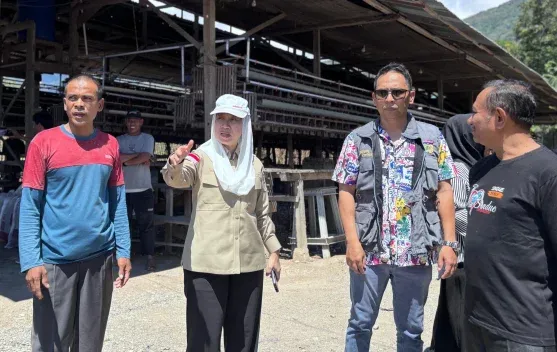 Wakil Wali Kota Palu Tinjau Sentra Ayam Petelur di Pengawu, Tekankan Penataan Tata Ruang
